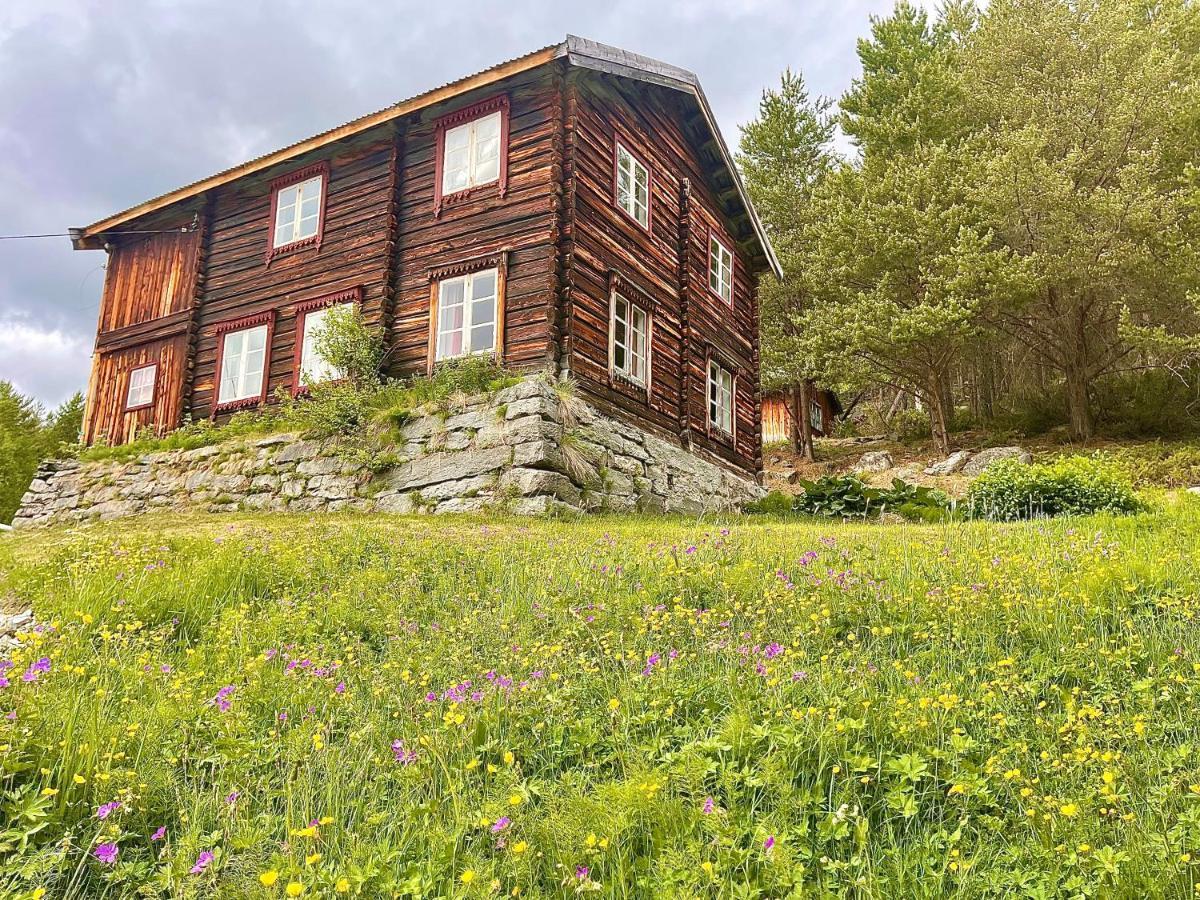 Reinheimen Lodge Skjak Екстер'єр фото