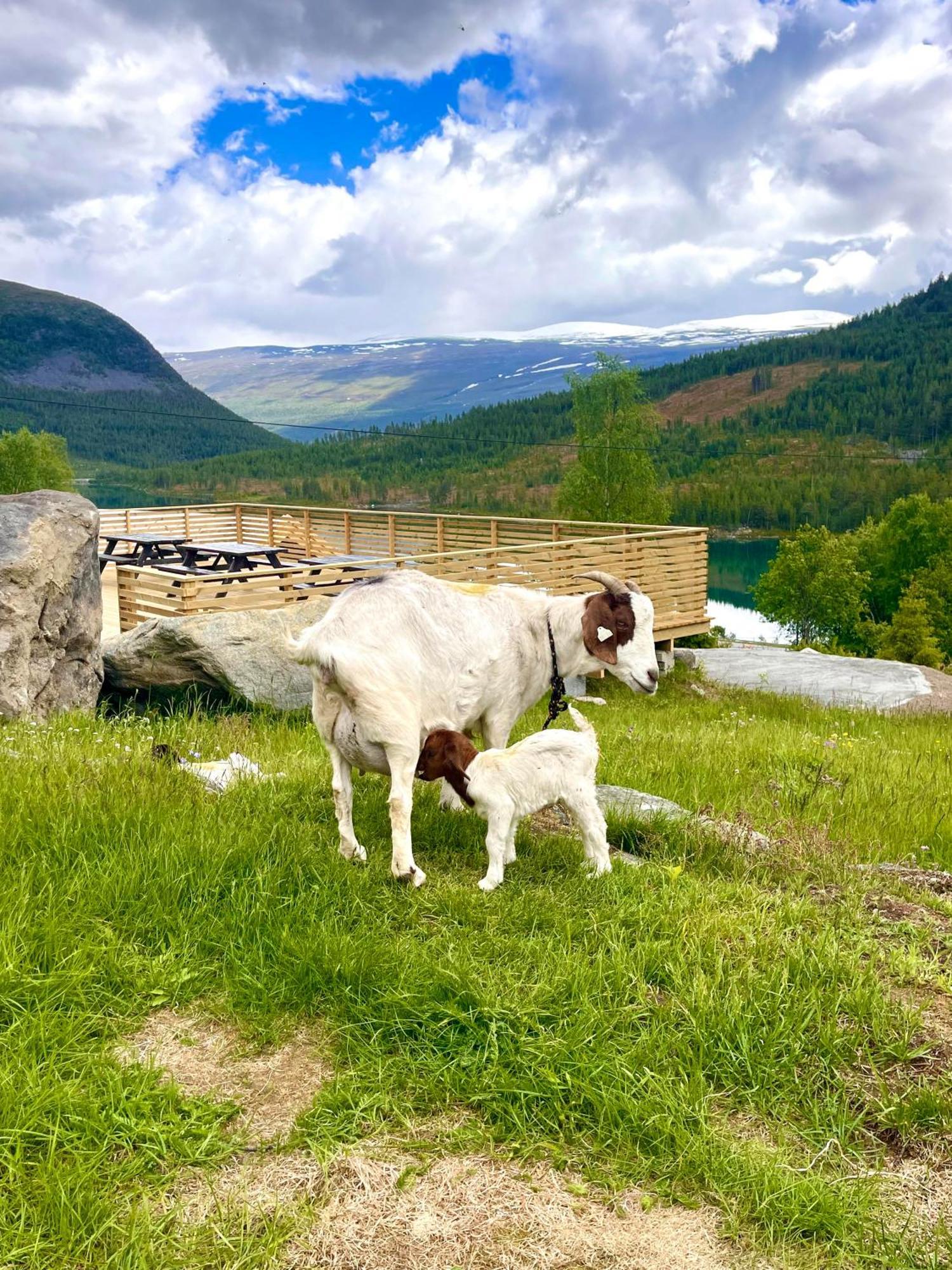 Reinheimen Lodge Skjak Екстер'єр фото